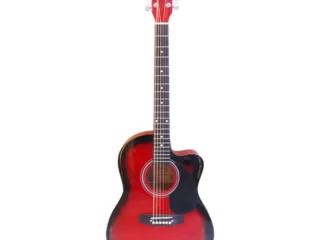 Dolphin DT-10AC Cutaway Acoustic Guitar