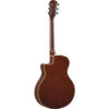 apx600_old_violin_sunburst-_2_-1.jpg