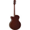 cpx600_old_violin_sunburst-_2_-1.jpg