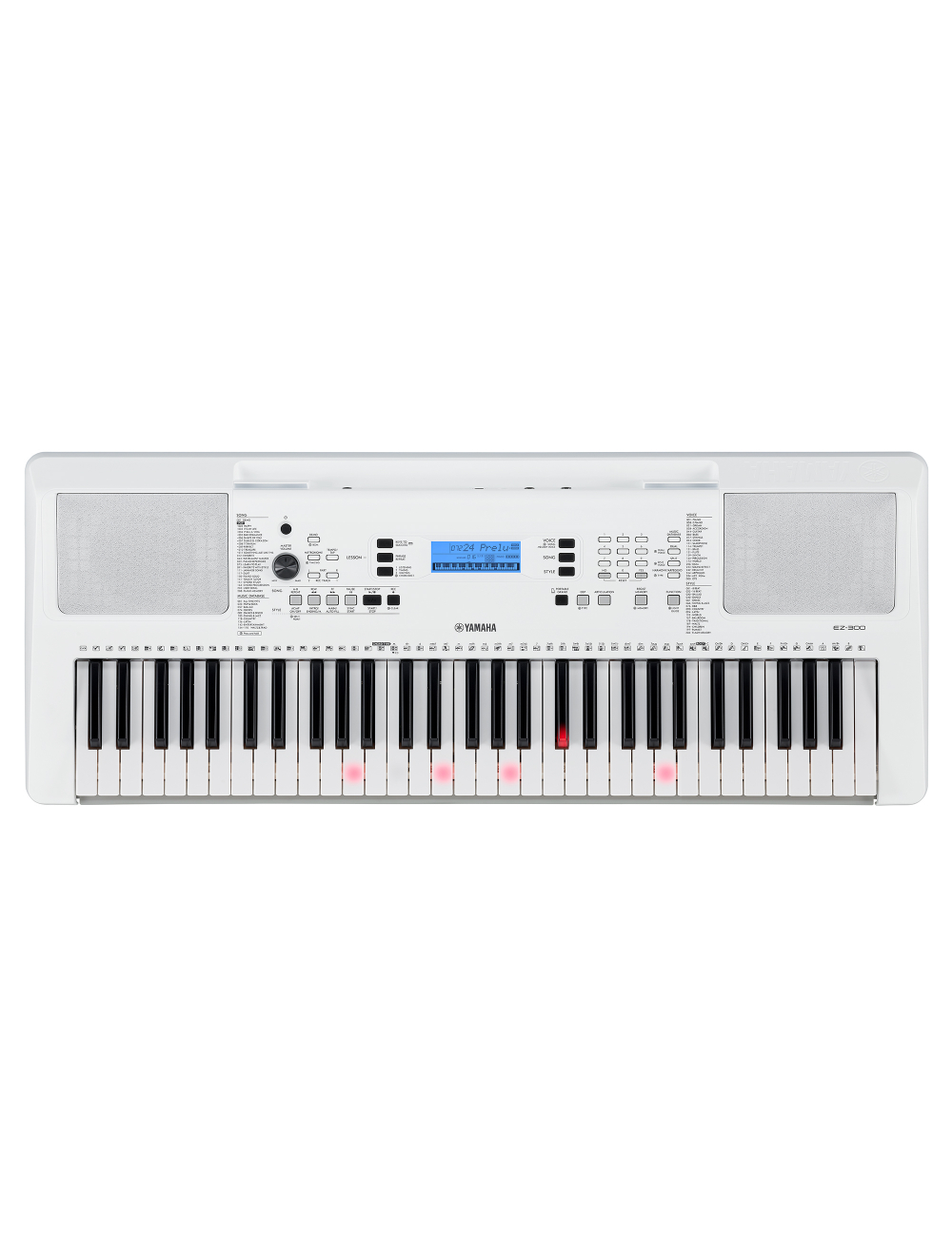 ez-300_amazon_productphoto_main_10.jpg