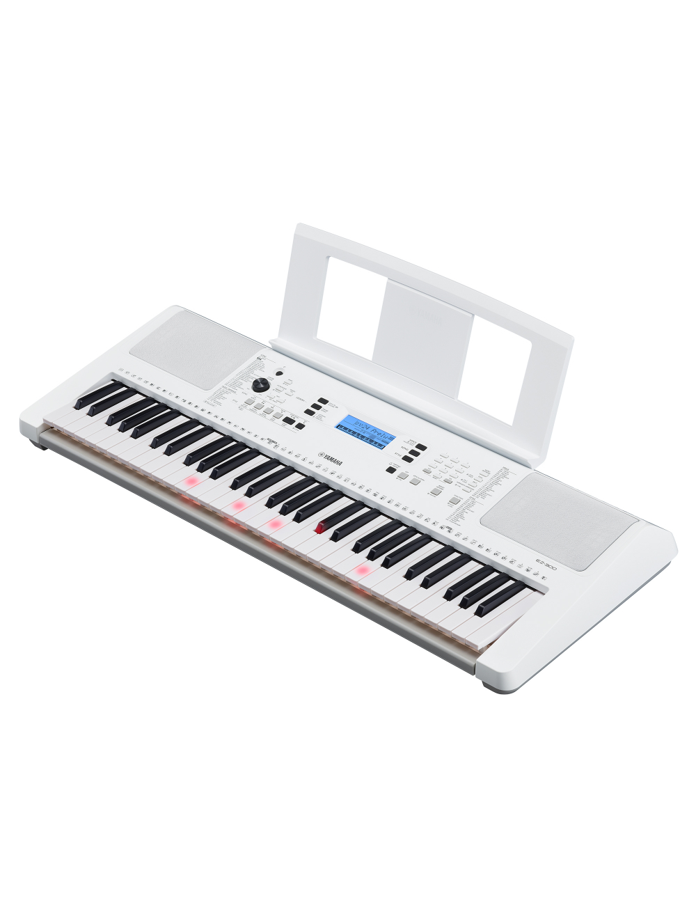 ez-300_amazon_productphoto_main_12.jpg