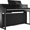 hp704_angle_polished_ebony_gal.jpg
