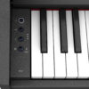 rp107_controls_gal.jpg