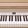 rp701-la_panel_gal.jpg