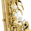 Chateau Alto Saxophone CAS-80GL 3-50kb