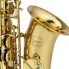 Chateau Alto Saxophone CAS-80GL2-50kb