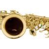 Chateau Alto Saxophone CAS-80GL5-50kb
