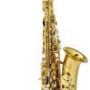Chateau alto saxophone CAS 22GL-50kb (1) Chateau CAS-22GL Alto Saxophone