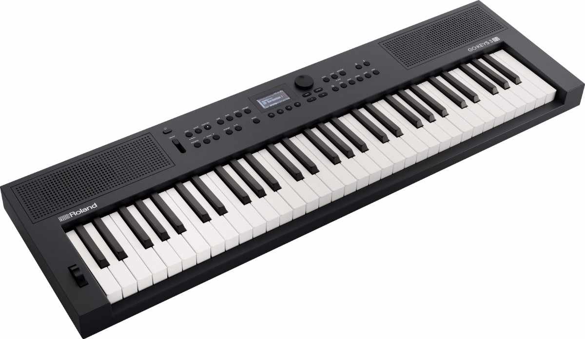 Roland GO:KEYS 3 IN keyboard with Indian sounds like sitar tabla and santoor