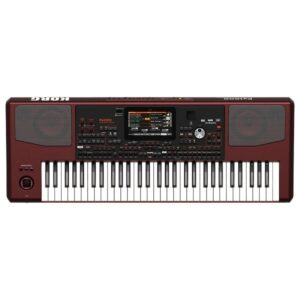 KORG Pa1000 Indian Arranger Keyboard