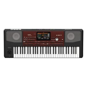 KORG Pa700 Indian Arranger Keyboard