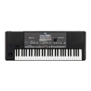 KORG Pa600 Indian Arranger Keyboard