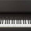 fp-40-bk_front_music_rest_gal-50kb