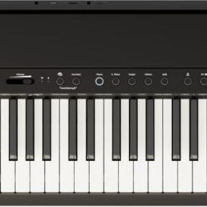 Roland FP-40 88-key digital piano