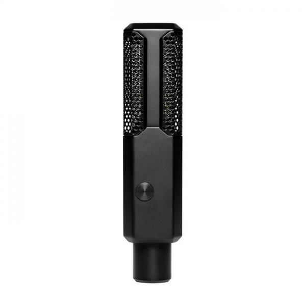 LEWITT LCT 640 TS multi-pattern studio condenser microphone.
