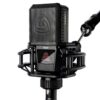 LEWITT RAY large-diaphragm condenser microphone.